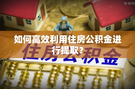 城中如何高效利用住房公积金进行提取？
