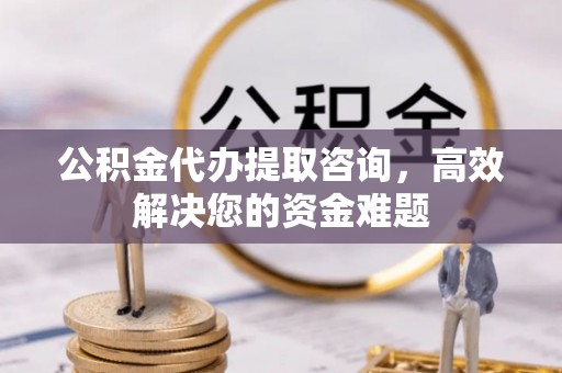 城中公积金代办提取咨询，高效解决您的资金难题