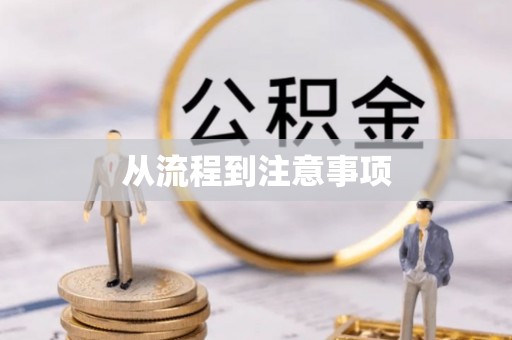 城中从流程到注意事项