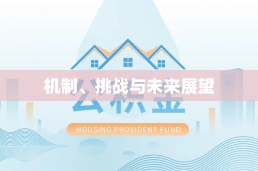 城中机制、挑战与未来展望