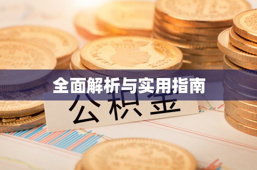 城中全面解析与实用指南