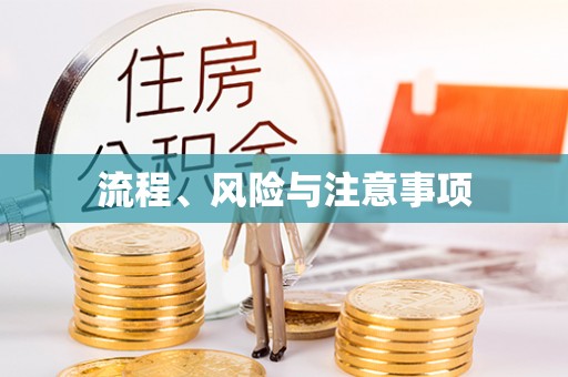 城中流程、风险与注意事项