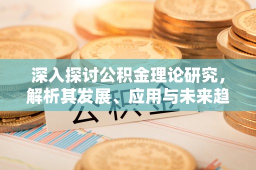 城中深入探讨公积金理论研究，解析其发展、应用与未来趋势